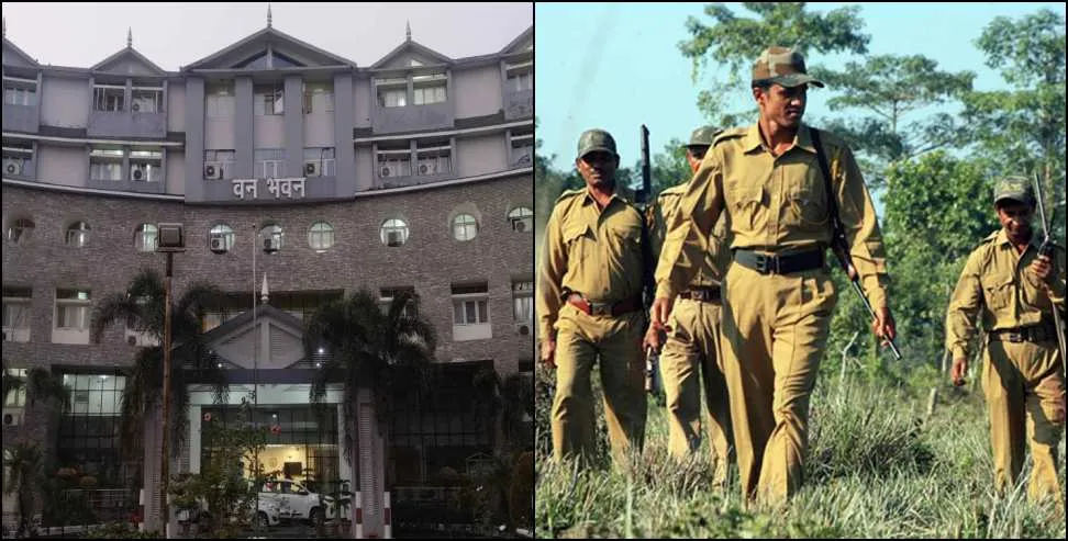 उत्तराखंड: कर्मचारियों को पसंदीदा पोस्टिंग की सौगात, वन विभाग में हुए बंपर तबादले